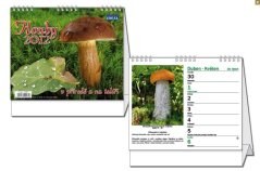 Kalendář houby